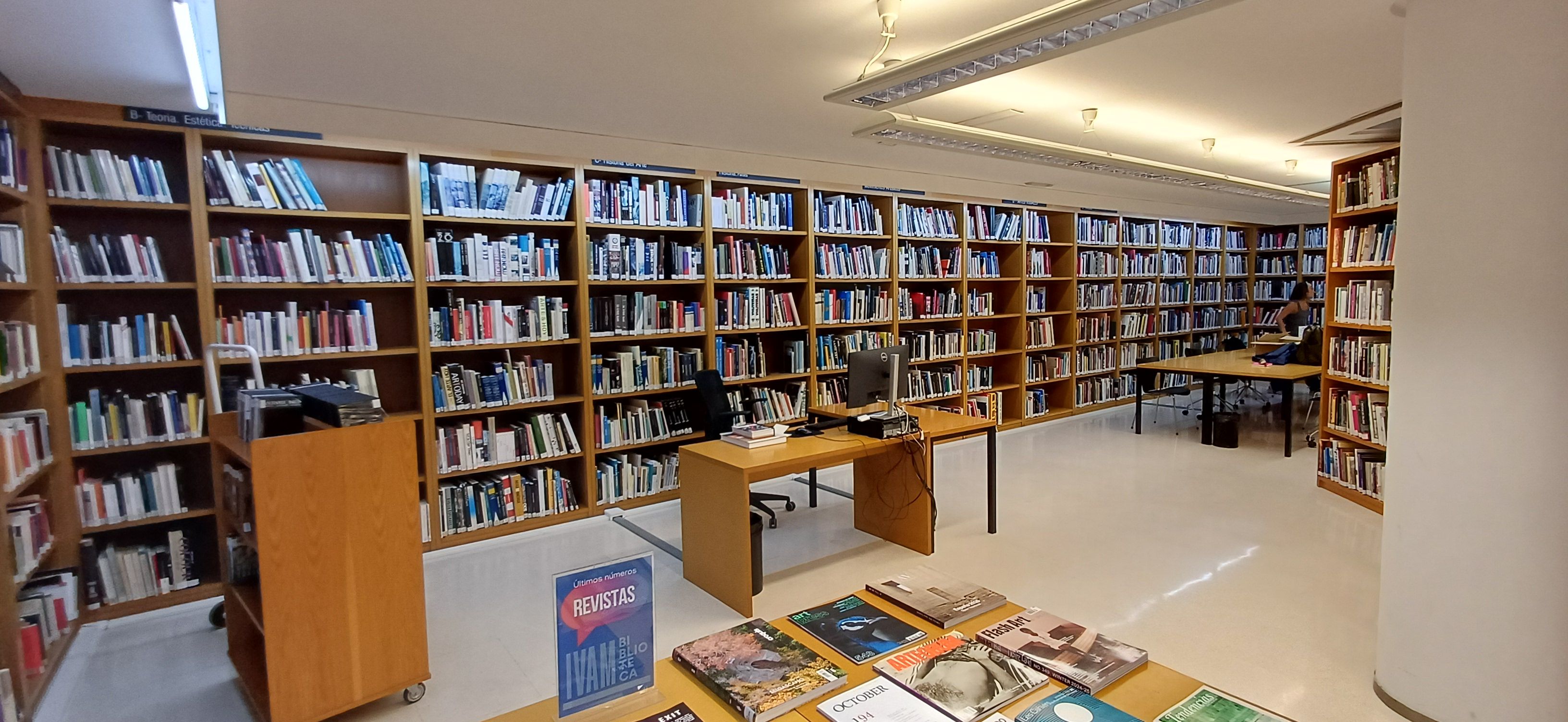 IVAM Biblioteca