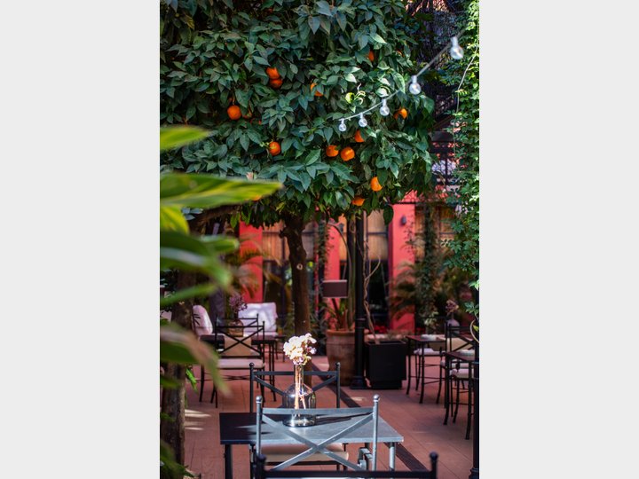 RESTAURANTE EL PATIO DEL PALI - SEVILLA