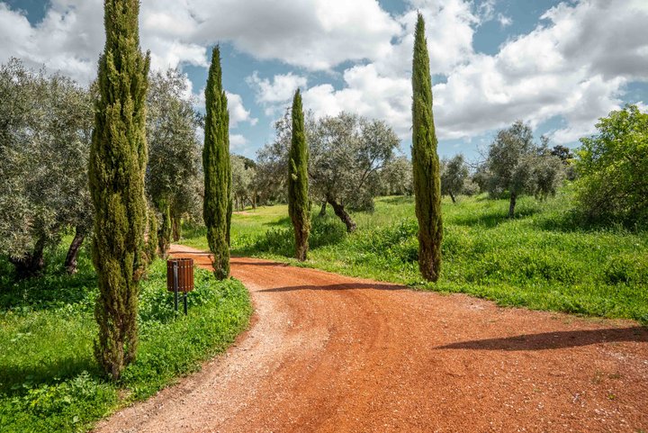 LA ALMAZARA - GREENHOUSE Y PARKING