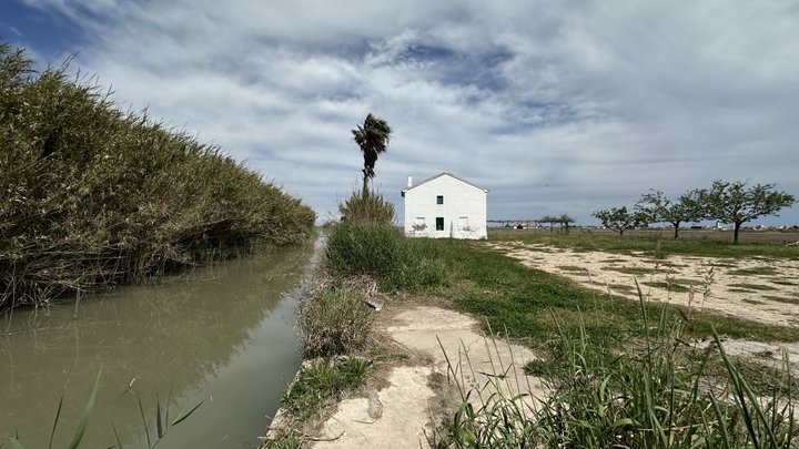 Google Drive Photo