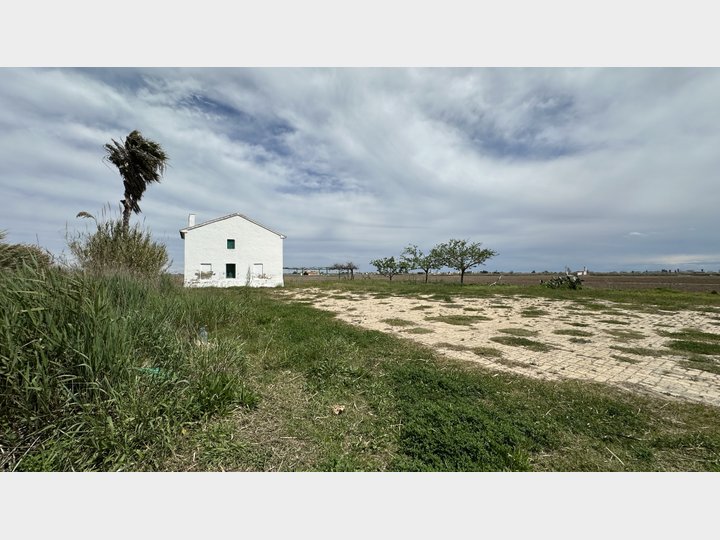 Google Drive Photo
