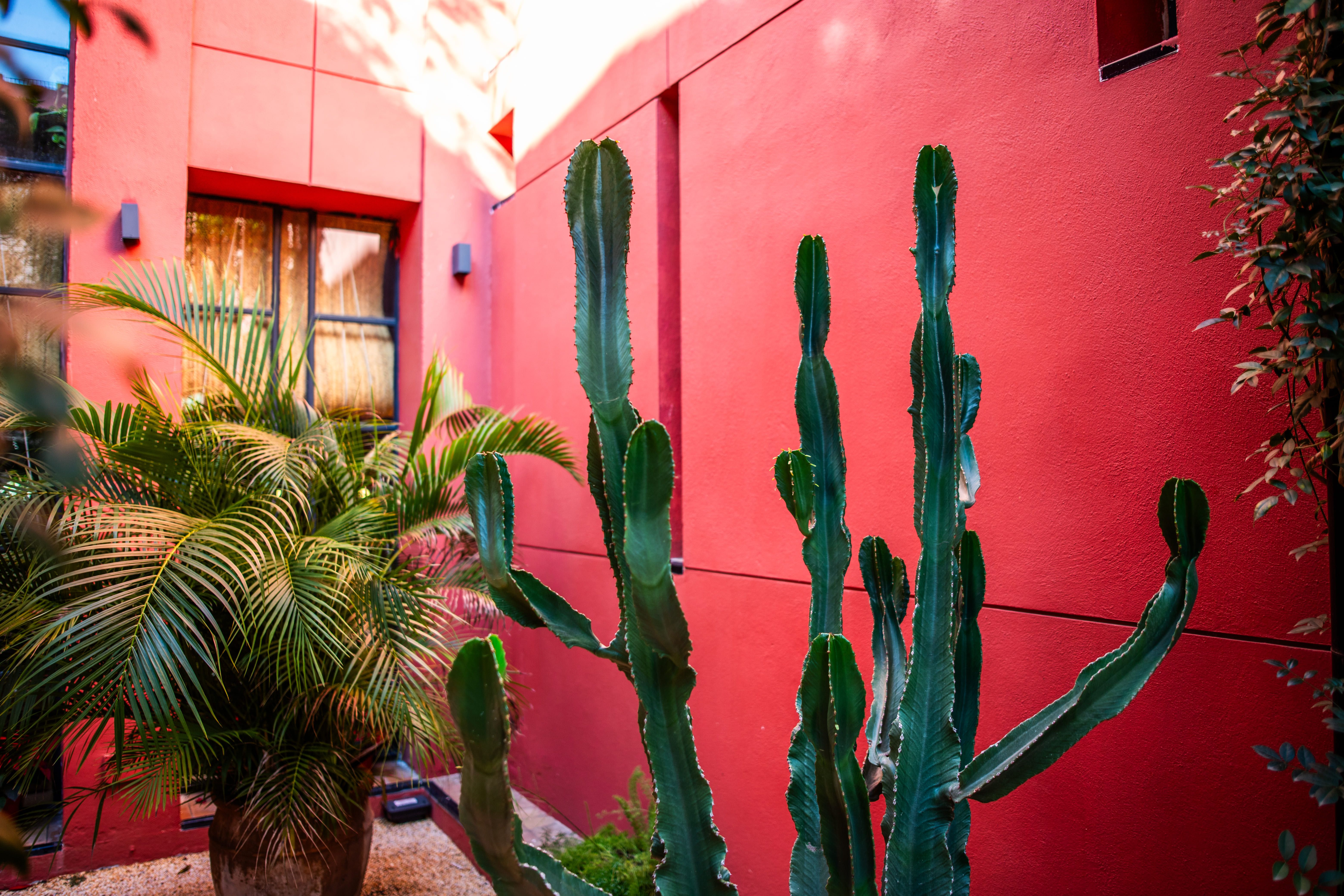 HOTEL LOS SEISES - SEVILLA