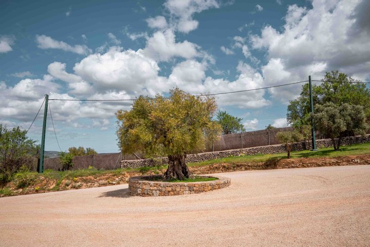 LA ALMAZARA - GREENHOUSE Y PARKING