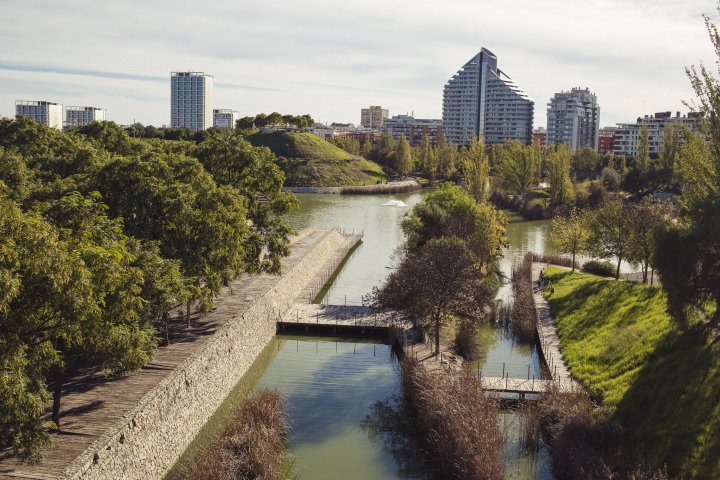 PARQUE DE CABECERA