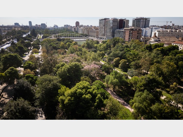 JARDINES DEL TURIA