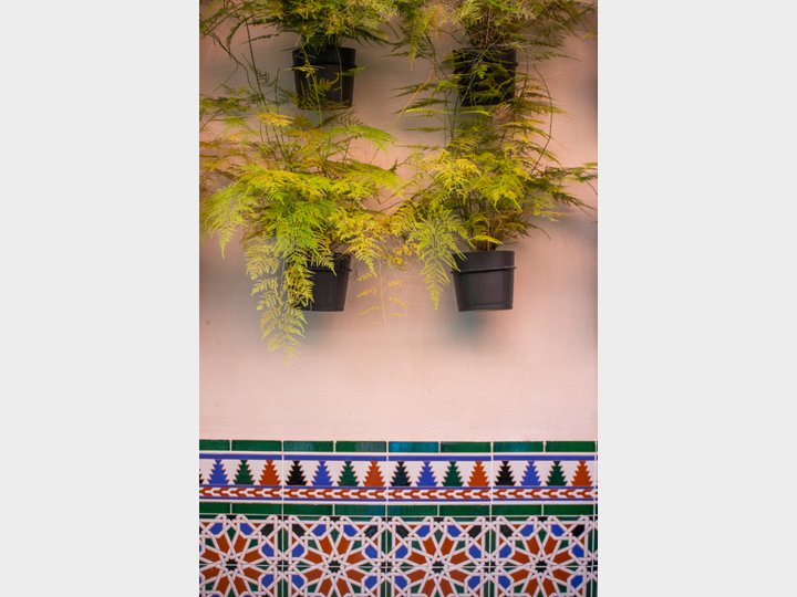 RESTAURANTE EL PATIO DEL PALI - SEVILLA