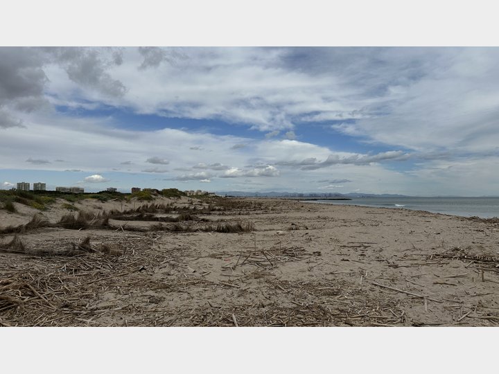 Google Drive Photo