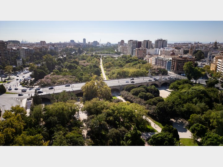 JARDINES DEL TURIA
