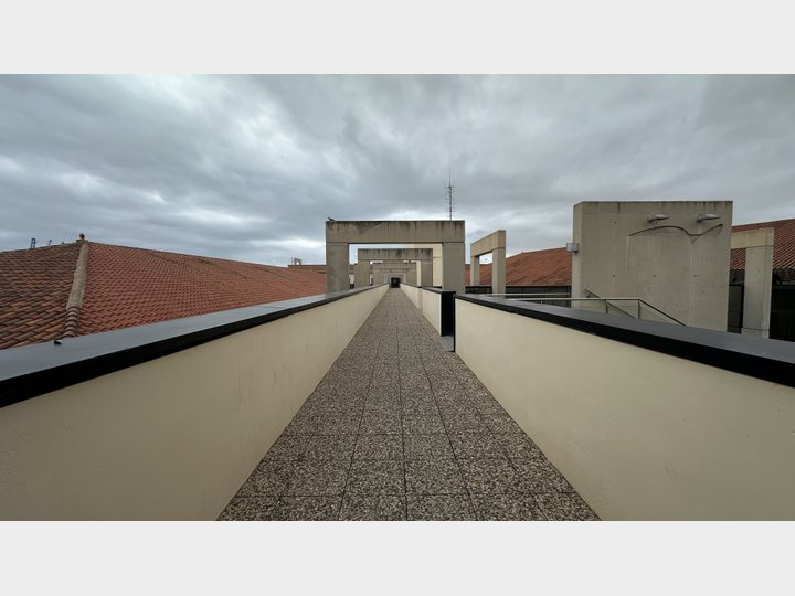 Google Drive Photo
