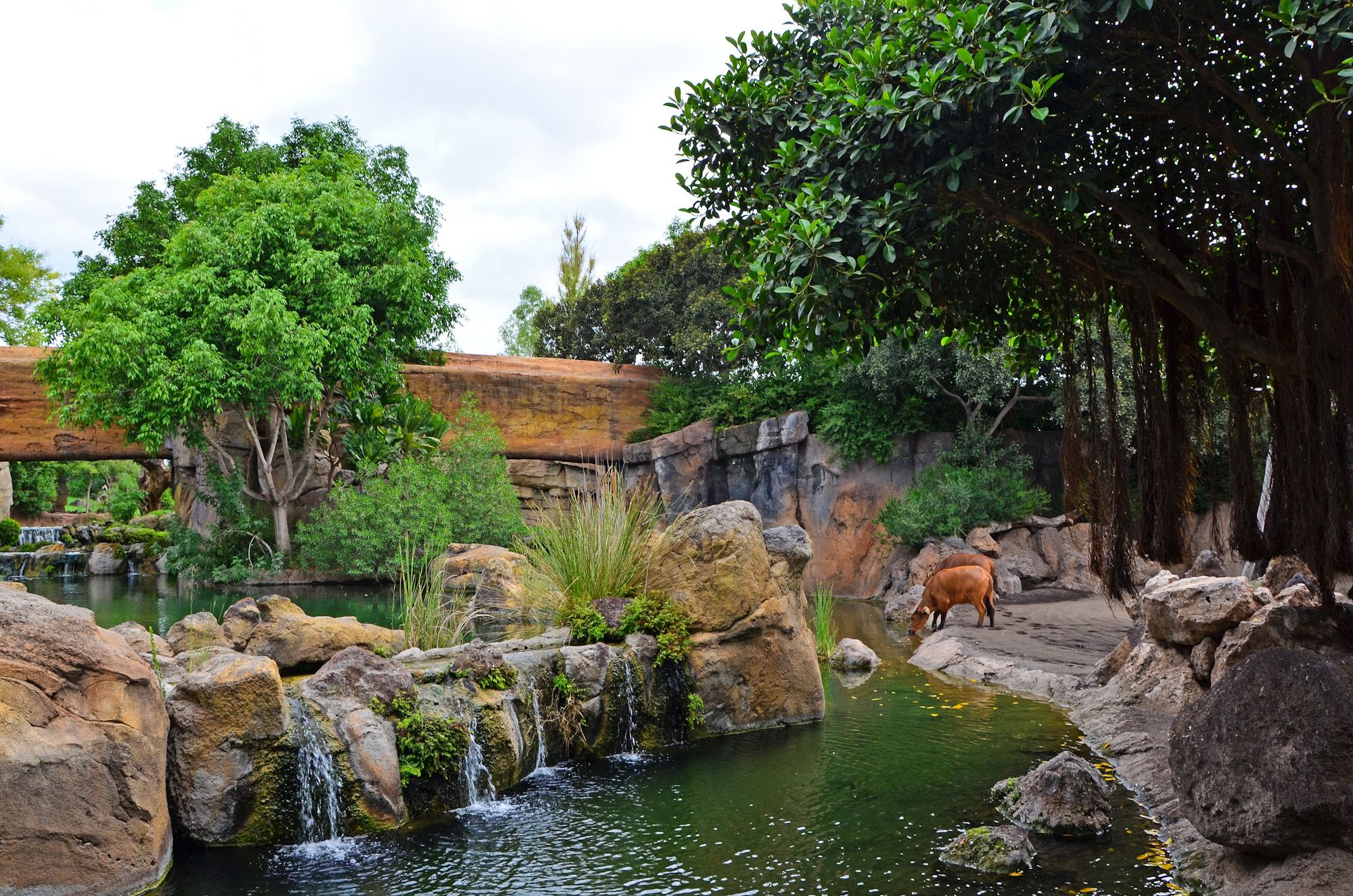BIOPARC