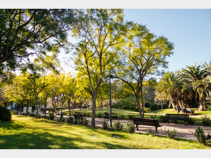 JARDÍN DE POLÍFILO. CAMPANAR