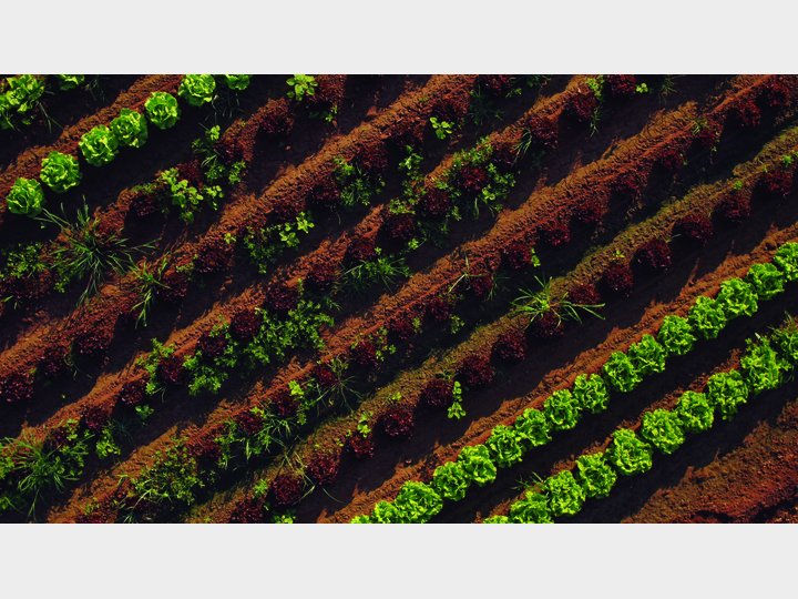 L'Horta de Valencia