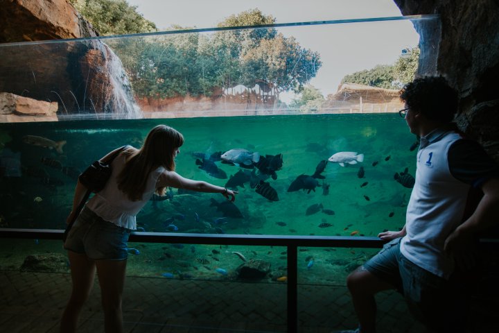 BIOPARC