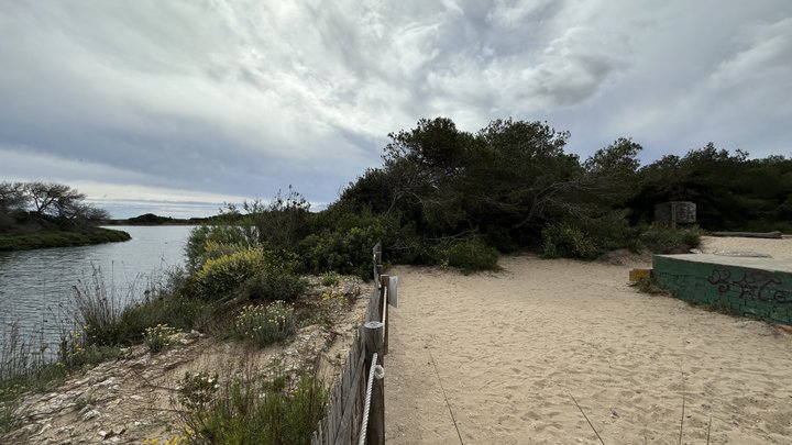 Google Drive Photo
