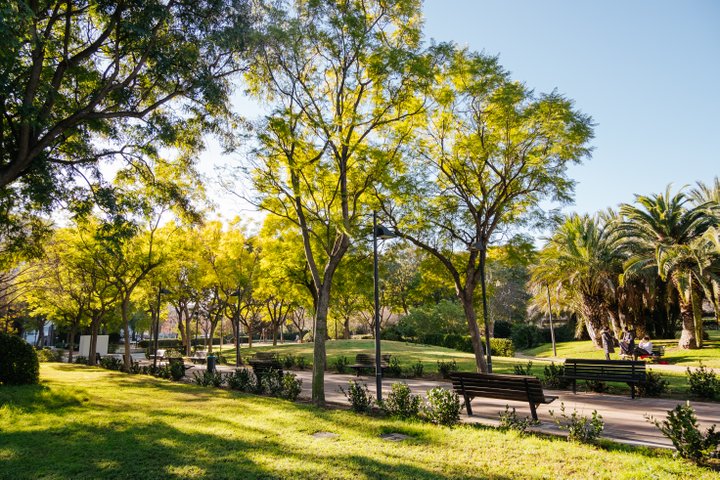 JARDÍN DE POLÍFILO. CAMPANAR
