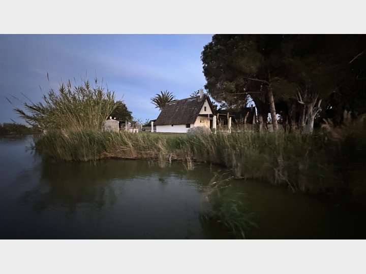 Google Drive Photo