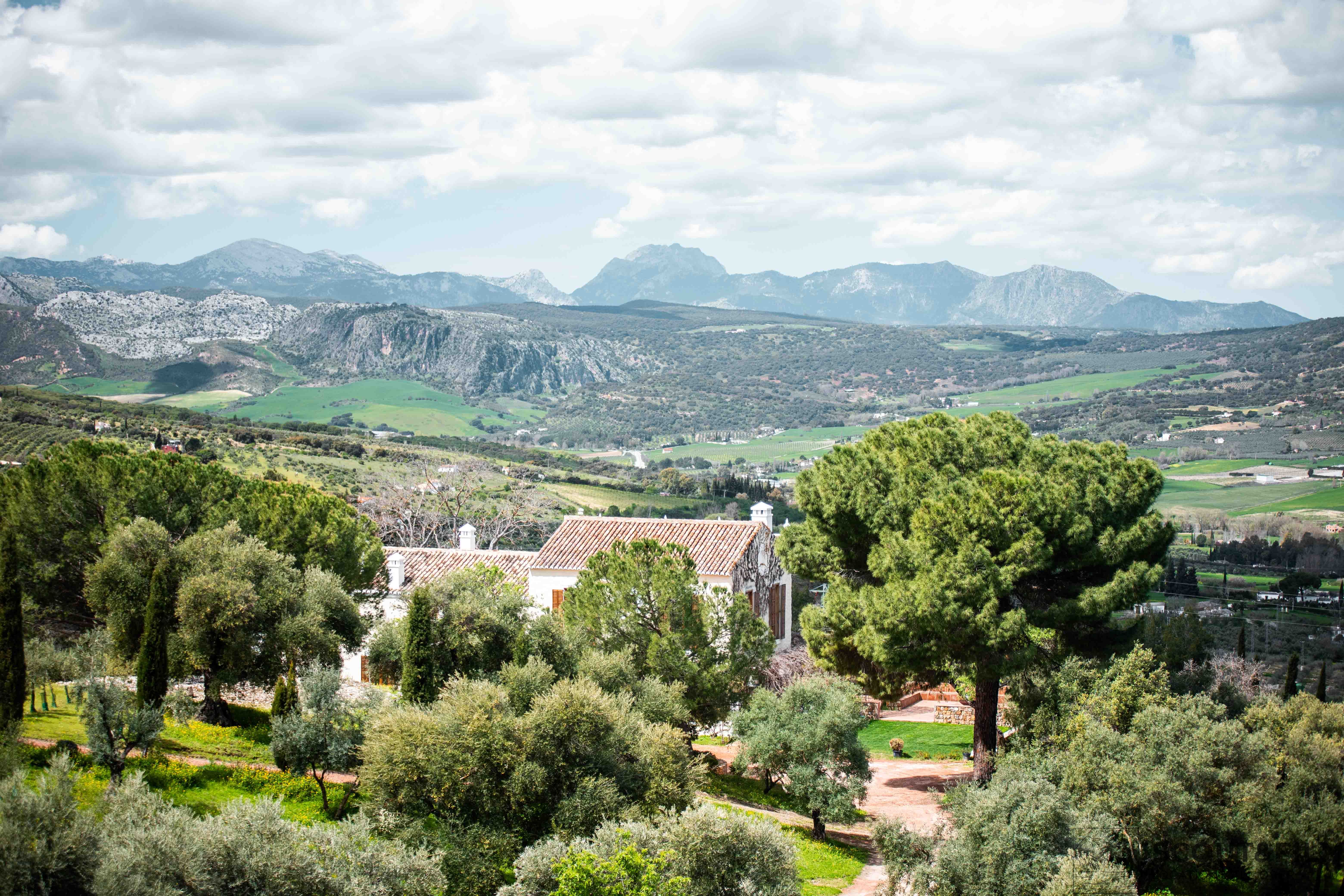 LA ALMAZARA - FINCA RURAL