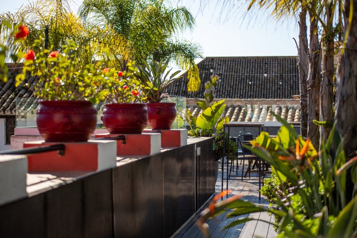 TERRAZA PURA VIDA - SEVILLA
