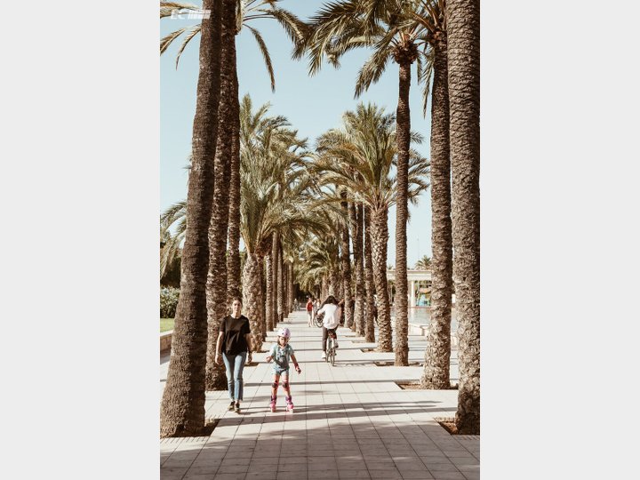 JARDINES DEL TURIA