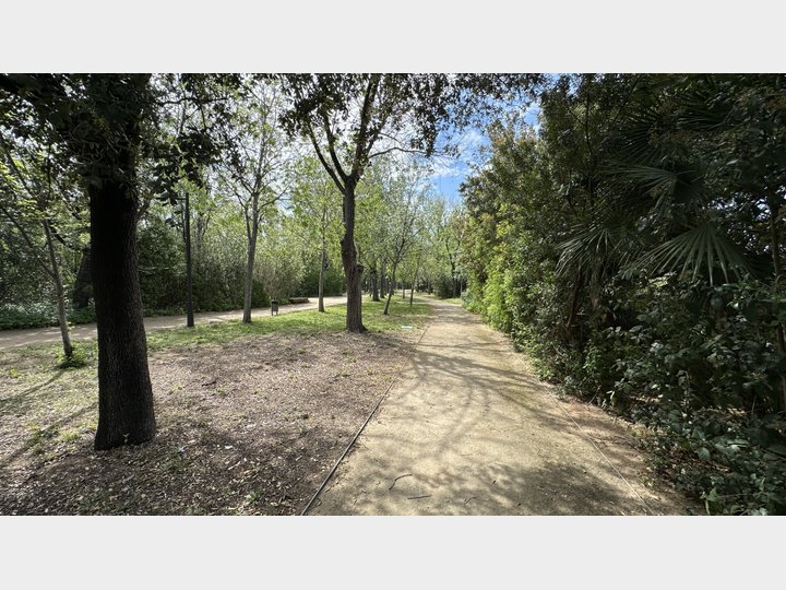 Google Drive Photo