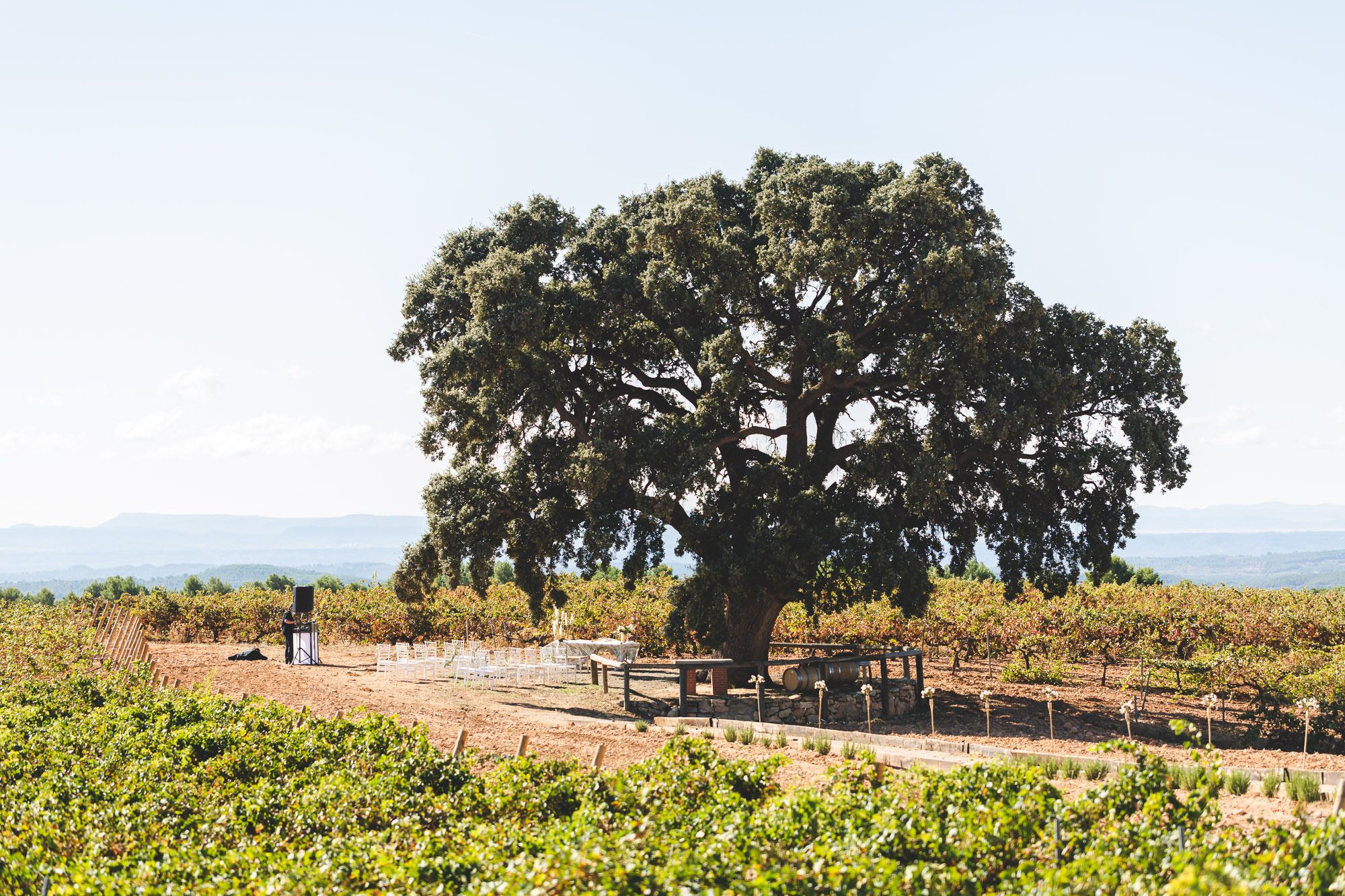 Bodegas Nodus