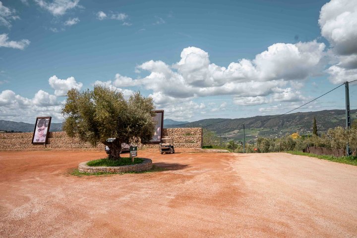 LA ALMAZARA - GREENHOUSE Y PARKING