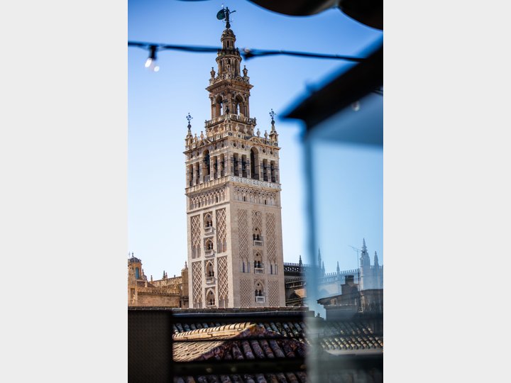 TERRAZA PURA VIDA - SEVILLA