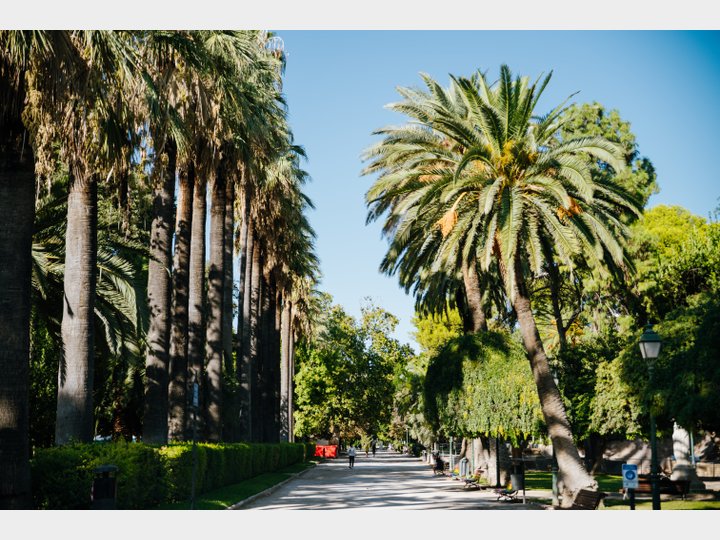 JARDINES DEL REAL/VIVEROS