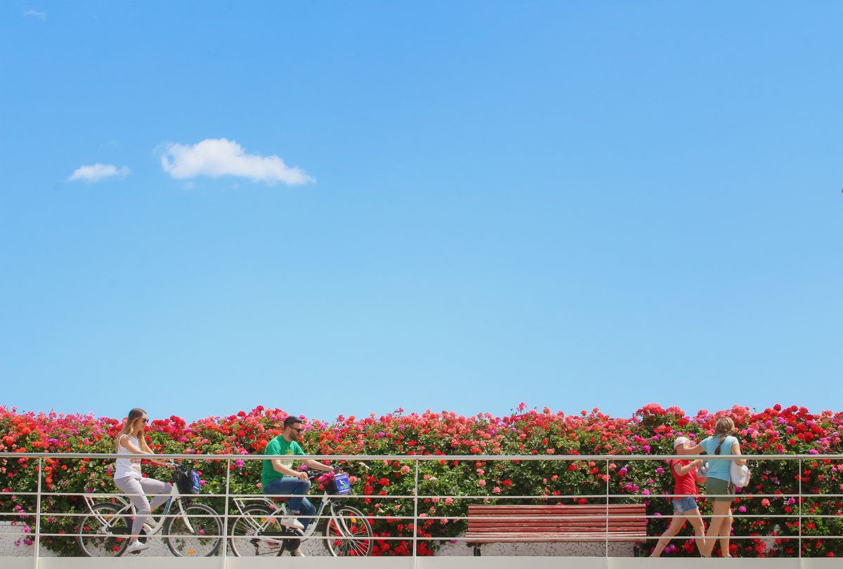 Puente de las flores.