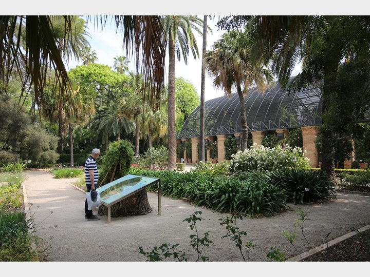 JARDÍN BOTÁNICO