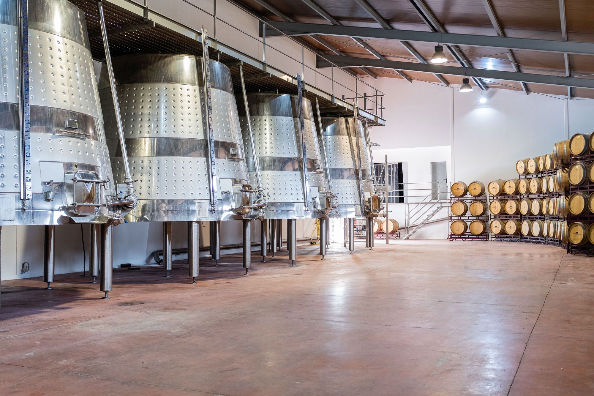 Bodegas Nodus