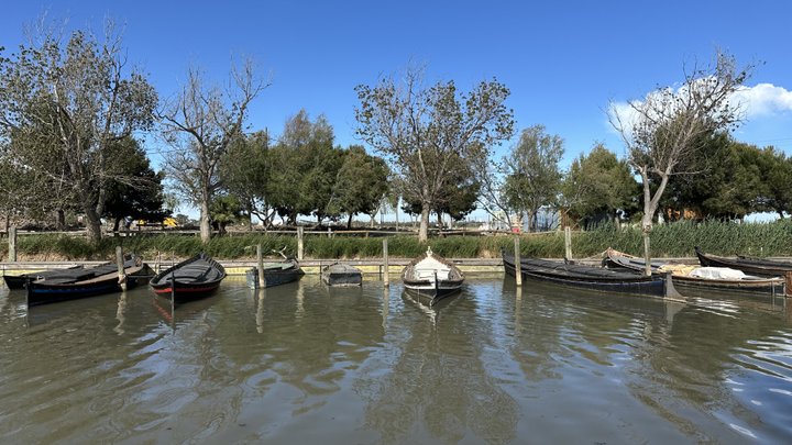 Google Drive Photo