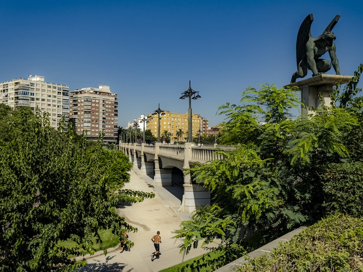 PUENTE DEL REINO. CAMINS AL GRAU