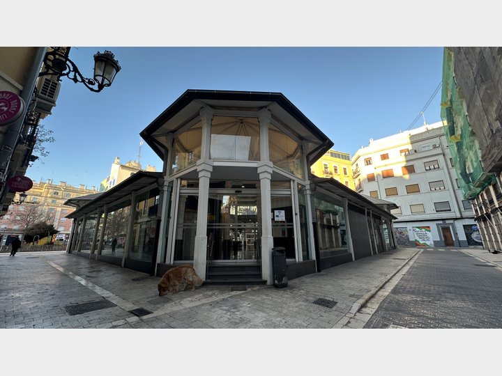Google Drive Photo