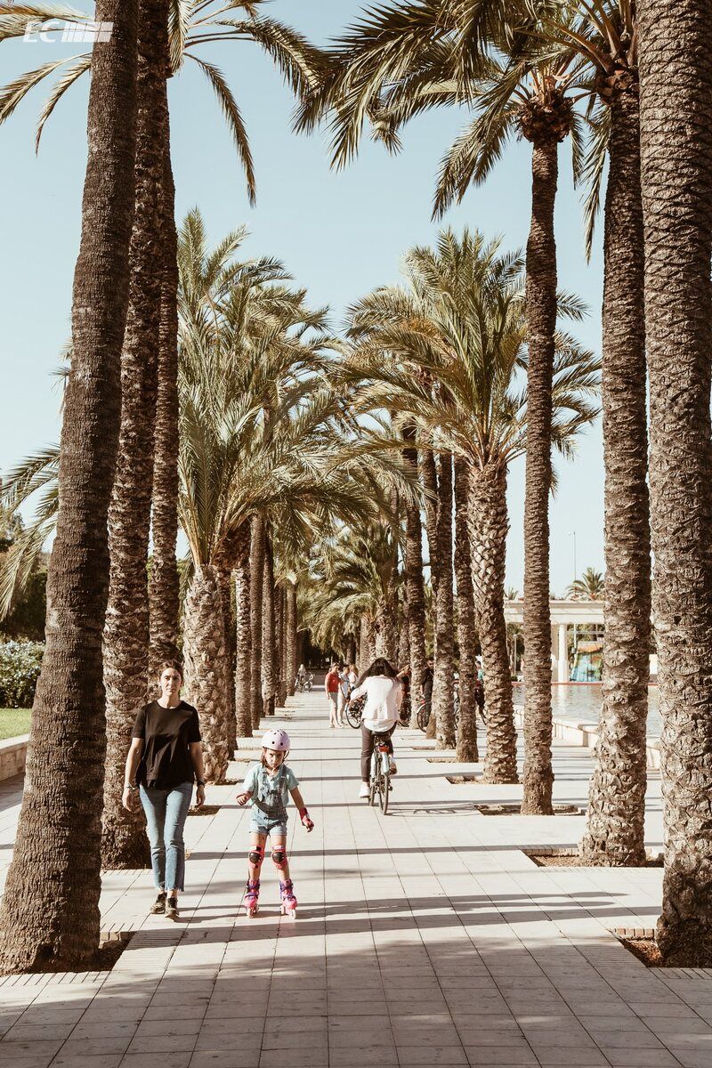 JARDINES DEL TURIA