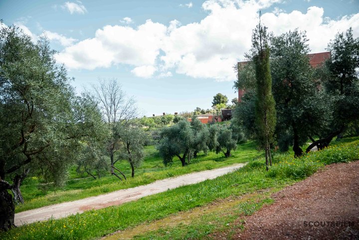 LA ALMAZARA - FINCA RURAL