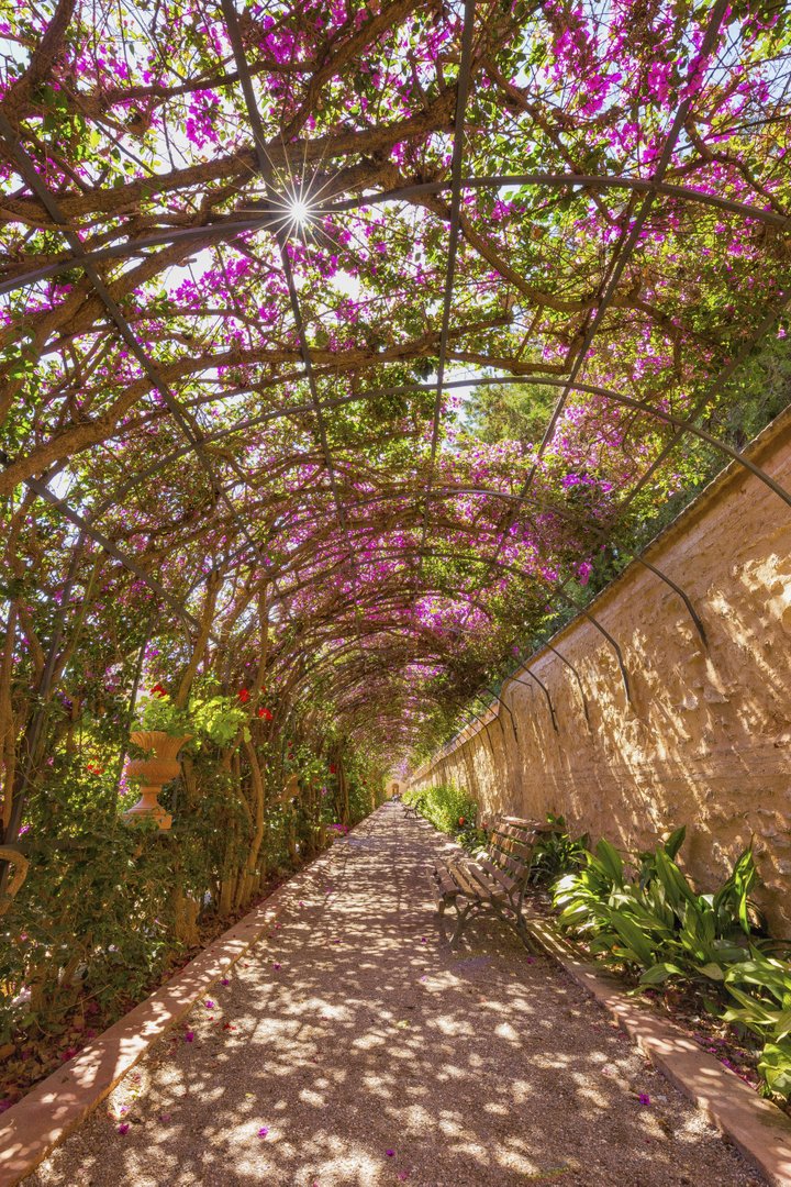 JARDINES DE MONFORTE.