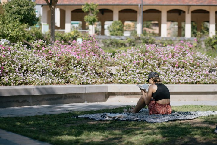 PARQUE CENTRAL.
