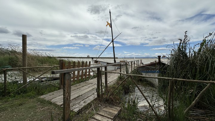 Google Drive Photo