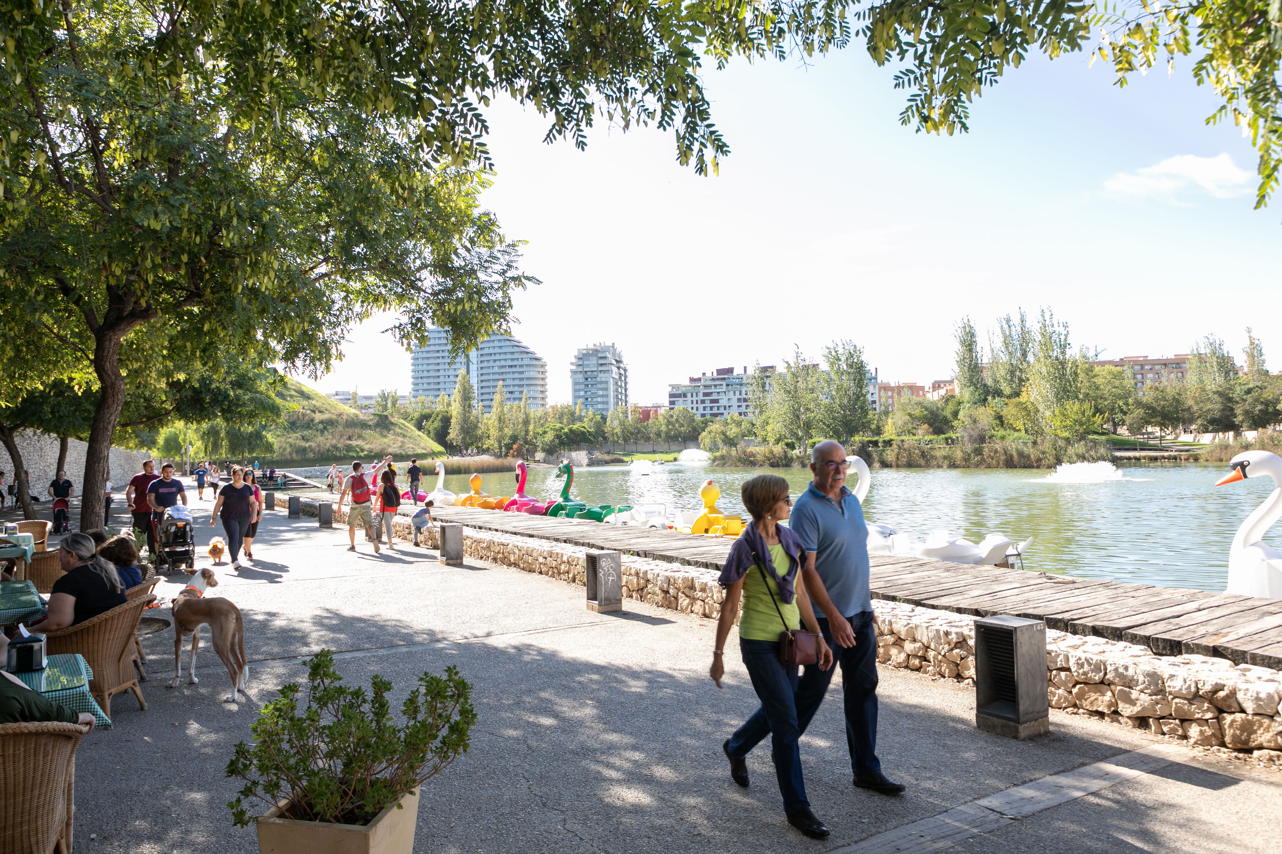 PARQUE DE CABECERA