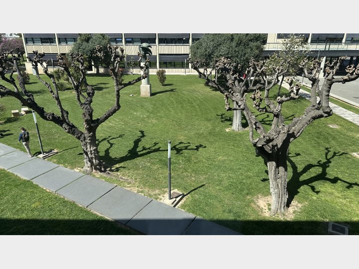 Google Drive Photo