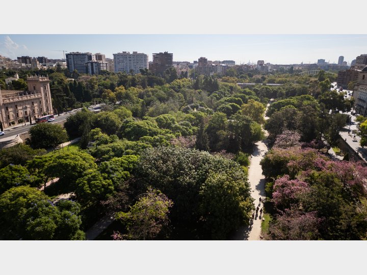 JARDINES DEL TURIA
