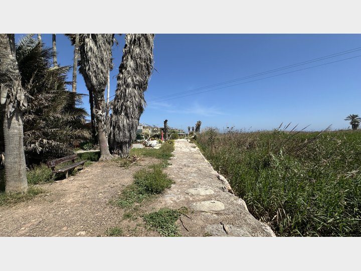 Google Drive Photo