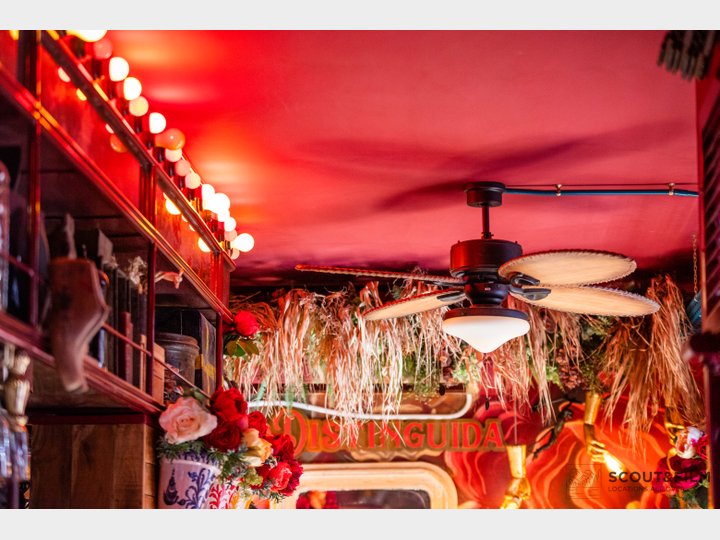 TABERNA LA DISTINGUIDA - GRANADA