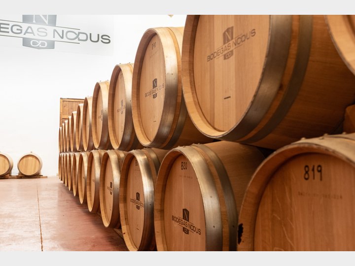 Bodegas Nodus