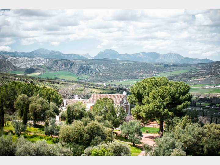 LA ALMAZARA - FINCA RURAL