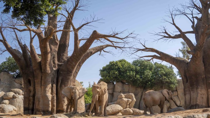 BIOPARC