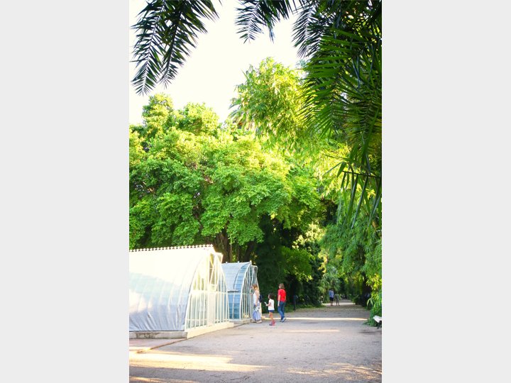 JARDÍN BOTÁNICO