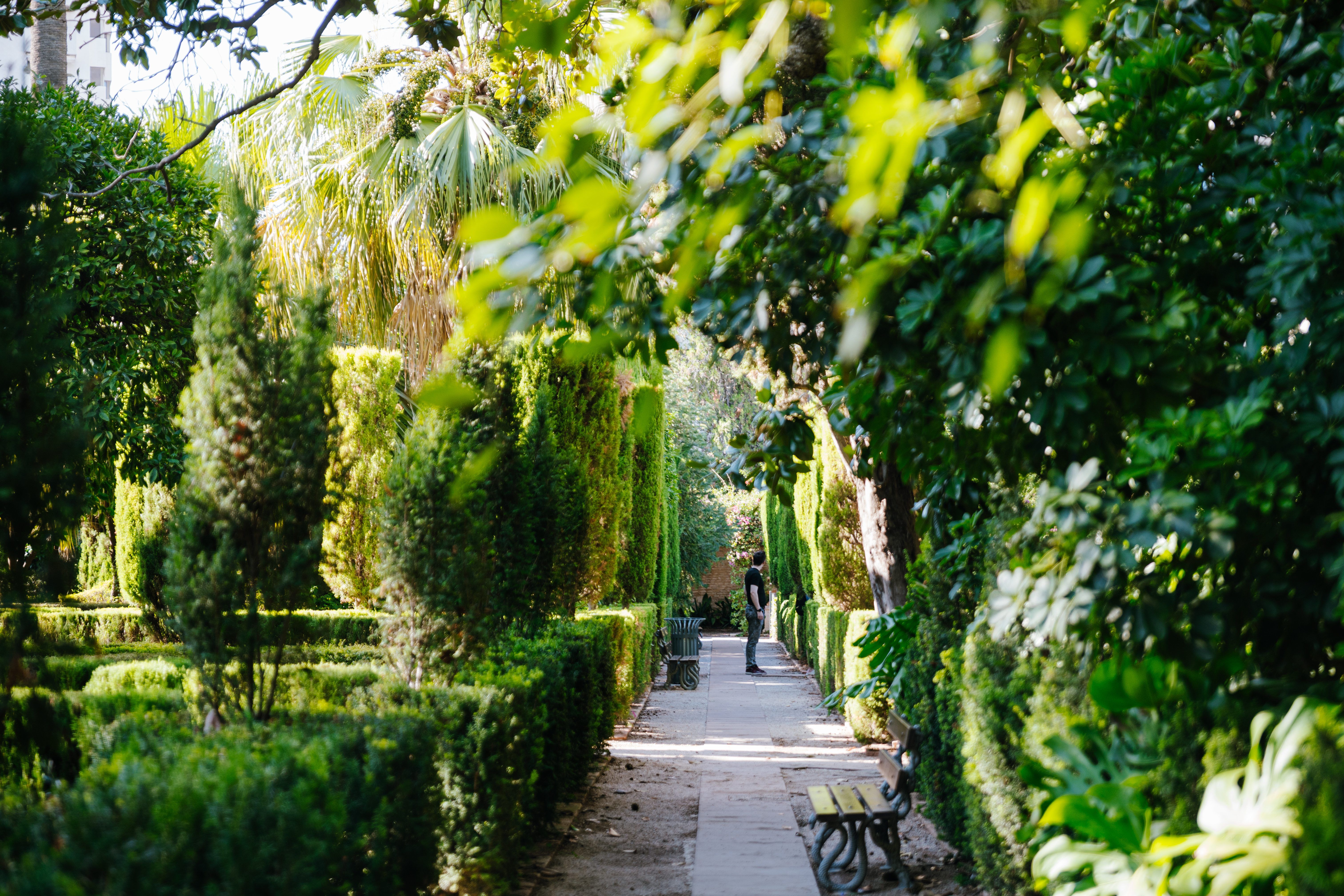 JARDINES DE MONFORTE.