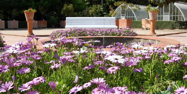 JARDÍN BOTÁNICO